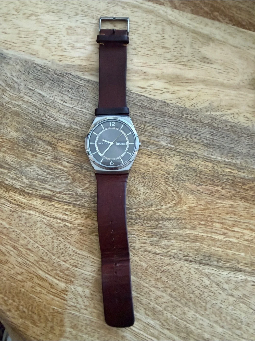Skagen Men's Brown Leather Strap Stainless Silver Case Quartz Watch